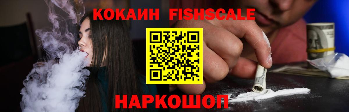 Выборг  Cocaine Fish Scale  COCAIN  Вход с VPN 