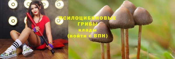 спиды Пролетарск