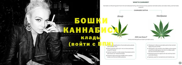 гидра Приозерск