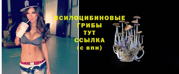 спиды Пролетарск