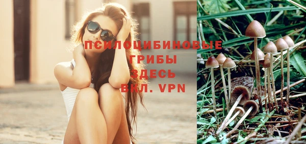 трава Протвино