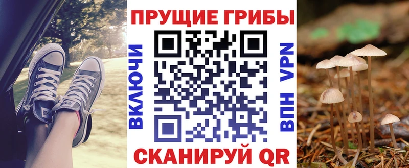 где можно купить наркотик  Выборг  Псилоцибиновые грибы ЛСД 