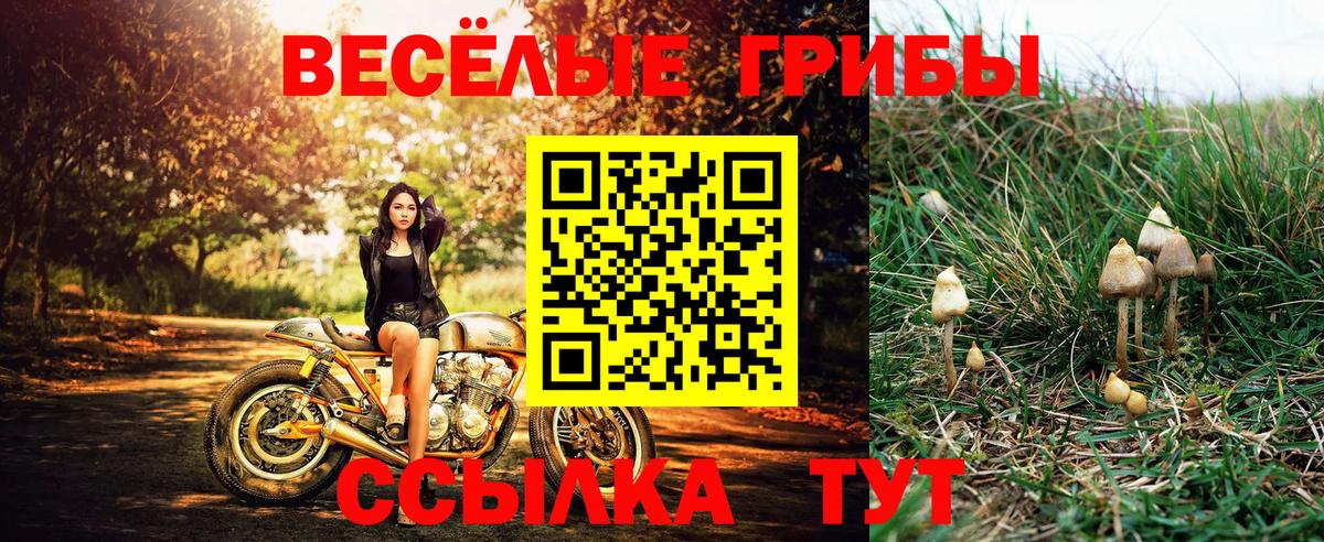 Псилоцибиновые грибы Magic Shrooms  Выборг 